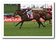 2005 Stratum